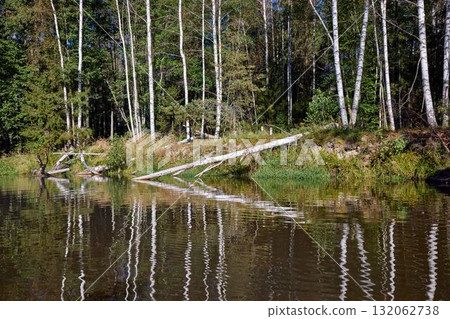 Tranquil Reflections: Trees Mirrored in River Waters Tranquil Reflections: Trees Mirrored in River Waters 132062738