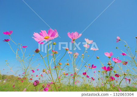 宇宙秋天圖像 132063304