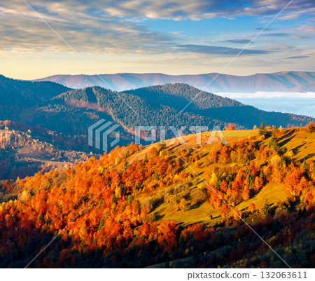 mountain landscape of ukraine in autumn. scenic destination for a weekend. fog in the distant valley. forest on hills in morning light. weather forecast background with bright sky. countryside scenery mountain landscape of ukraine in autumn. scenic destination for a weekend. fog in the distant valley. forest on hills in morning light. weather forecast background with bright sky. countryside scenery 132063611