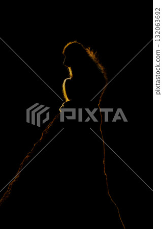 Chacma baboon sits on termite mound backlit Chacma baboon sits on termite mound backlit 132063692