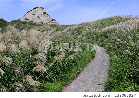 A small path leading to a white rocky mountain nestled in a field of Japanese silver grass A small path leading to a white rocky mountain nestled in a field of Japanese silver grass 132063827