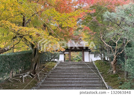Autumn leaves at Anrakuji Temple in Shishigatani, Sakyo Ward, Kyoto City 132063848