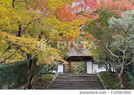 京都市左京區鹿谷安樂寺的紅葉 京都市左京區鹿谷安樂寺的紅葉 132063900