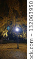 Street lamp glowing under a yellow ginkgo tree in the evening, mobile photo. Warm autumn atmosphere perfect for illustrating fall season, city mood, nostalgia, and tranquil urban nature. 132063950