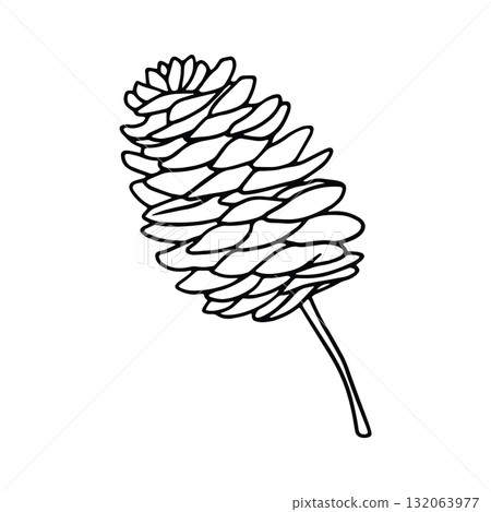 Pine Cone Icon  with Hand Drawn Black and White Thick Lines Pine Cone Icon  with Hand Drawn Black and White Thick Lines 132063977