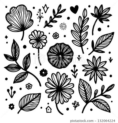 Elegant Black and White Botanical Illustration with Hand-Drawn Floral Elements 132064224