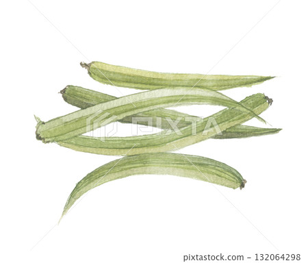 瓜爾豆水彩畫 瓜爾豆水彩畫 132064298