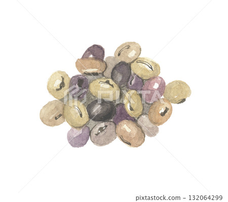 Watercolor drawing of guar beans 132064299