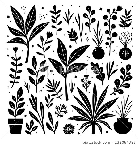 Elegant botanical pattern showcasing black and white floral and plant designs 132064385