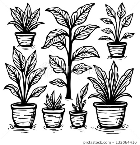 Elegant collection of potted plant illustrations for botanical and design applications 132064410