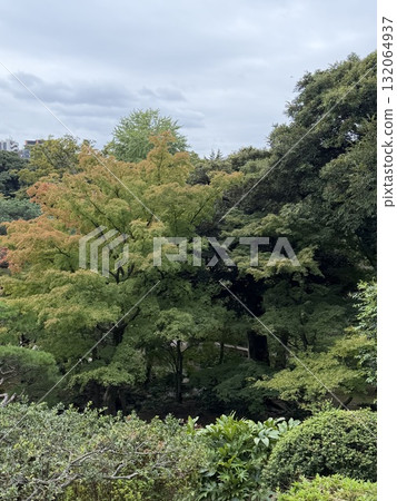 秋季,山脈被綠色植被覆蓋 秋季,山脈被綠色植被覆蓋 132064937