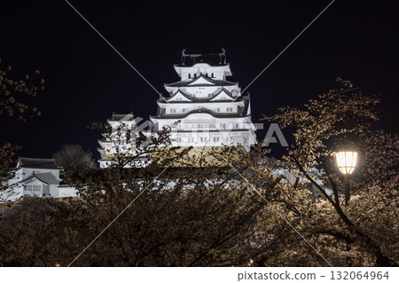 Himeji Castle, a World Heritage Site and National Treasure, and cherry blossoms at night in spring in Himeji City, Hyogo Prefecture Himeji Castle, a World Heritage Site and National Treasure, and cherry blossoms at night in spring in Himeji City, Hyogo Prefecture 132064964