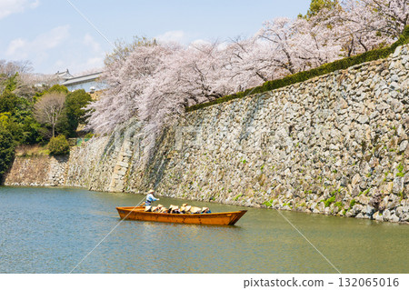 Spring in Himeji City, Hyogo Prefecture: World Heritage Site Himeji Castle and Cherry Blossoms 132065016