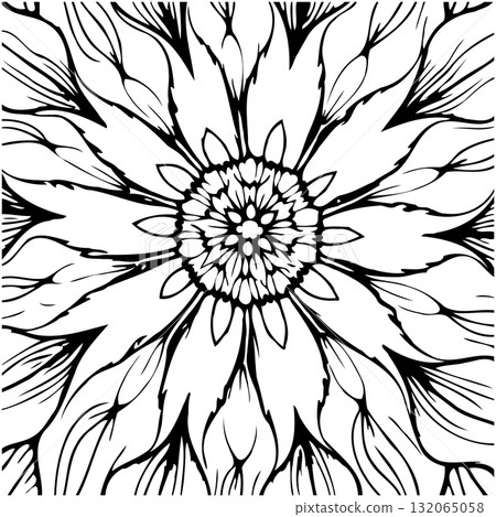 Elegant floral pattern mandala design in black and white intricate drawing Elegant floral pattern mandala design in black and white intricate drawing 132065058