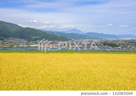 小畑梯田與善光寺平原【築曲市】 132065084