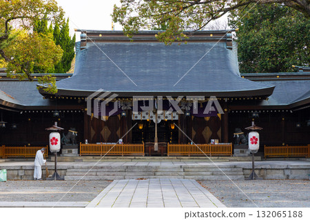 兵庫縣姬路市姬路護國神社的春天 132065188