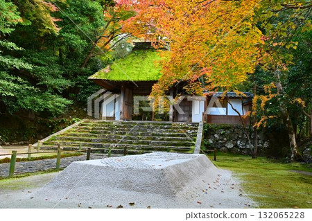 京都市左京區鹿谷法然院的紅葉 132065228