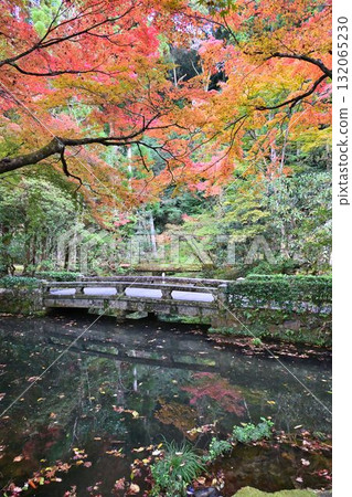 京都市左京區鹿谷法然院的紅葉 132065230