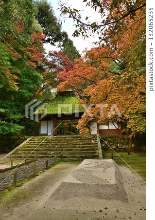 京都市左京區鹿谷法然院的紅葉 京都市左京區鹿谷法然院的紅葉 132065235