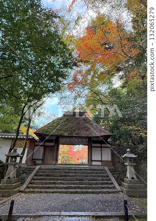 京都市左京區鹿谷法然院的紅葉 京都市左京區鹿谷法然院的紅葉 132065279