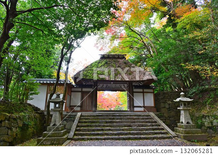 京都市左京區鹿谷法然院的紅葉 132065281