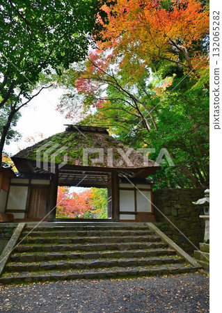 京都市左京區鹿谷法然院的紅葉 132065282