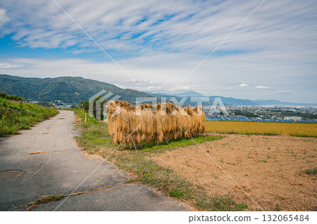 [Obasute Rice Terraces] Rice racks and farm roads [Chikuma City] 132065484