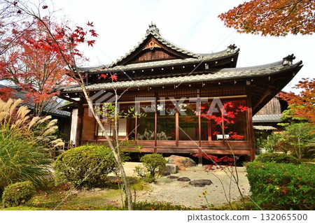 南禪寺 - 天壽庵的秋葉和池塘主題漫步花園 南禪寺 - 天壽庵的秋葉和池塘主題漫步花園 132065500