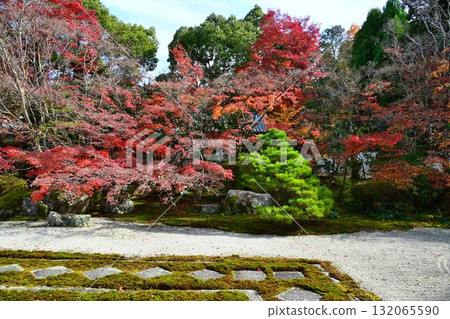 南禪寺 - 天壽庵的秋葉和池塘主題漫步花園 南禪寺 - 天壽庵的秋葉和池塘主題漫步花園 132065590