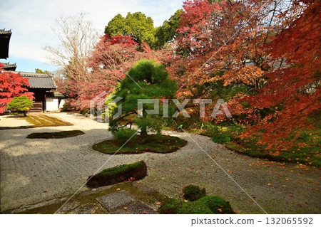 Nanzenji Temple - Autumn leaves and pond-themed garden at Tenjuan 132065592