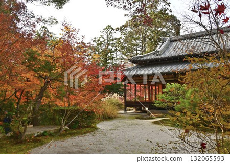 南禪寺 - 天壽庵的秋葉和池塘主題漫步花園 南禪寺 - 天壽庵的秋葉和池塘主題漫步花園 132065593