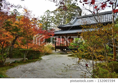 Nanzenji Temple - Autumn leaves and pond-themed garden at Tenjuan 132065594