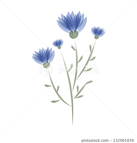 Watercolor illustration displays a collection of Cornflowers with slender stems and tiny leaves. The art piece promotes environmental conservation through the beauty of nature. 132065839