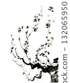 春意盎然的梅花鶯鶯水墨畫 132065950