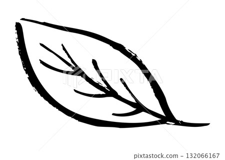 手繪葉子插圖,附筆觸 手繪葉子插圖,附筆觸 132066167