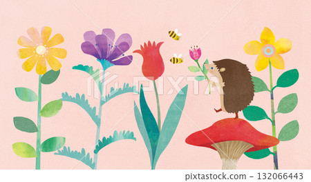 Flowers and hedgehog 132066443