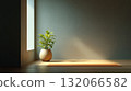 Serene room with yoga mat and potted plant by sunlit window, creating peaceful atmosphere 132066582