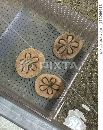 Takonomakura 132066618