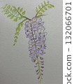 Wisteria flowers drawn with watercolor pencils 132066701