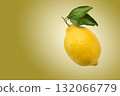Fresh lemon fruit 132066779