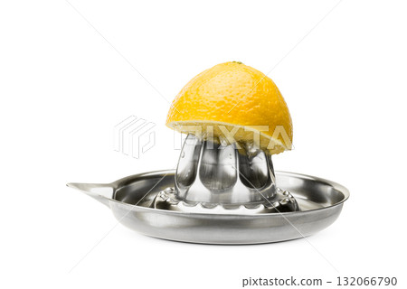Steel citrus juicer 132066790