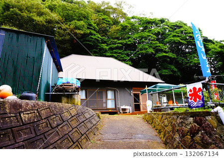 島茶館 Donguri 田代島貓 島貓 132067134