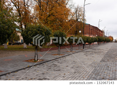 An alley of trees is planted on the square,surrounded by beautiful paving stones An alley of trees is planted on the square,surrounded by beautiful paving stones 132067143