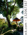 Shukkeien Garden on a clear autumn day, Hiroshima City, Hiroshima Prefecture 132067387