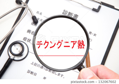 Chikungunya fever (mosquito-borne infection) 132067602