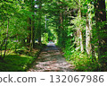 清晨漫步輕井澤的森林，樂趣無窮 132067986