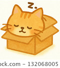 一隻貓睡在盒子裡的可愛插圖 132068005