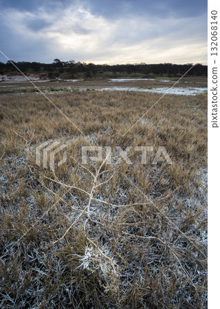 Saltpeter on the floor of a lagoon in a semi desert environment, La Pampa province, Patagonia, Argentina. 132068140