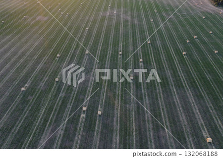 Grass bale, grass storage in La Pampa countryside, Patagonia,Argentina. Grass bale, grass storage in La Pampa countryside, Patagonia,Argentina. 132068188