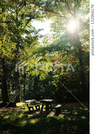 Wooden picnic table and benches in Fruska gora forest with sunlight streaming through trees. Serbia country Wooden picnic table and benches in Fruska gora forest with sunlight streaming through trees. Serbia country 132068276